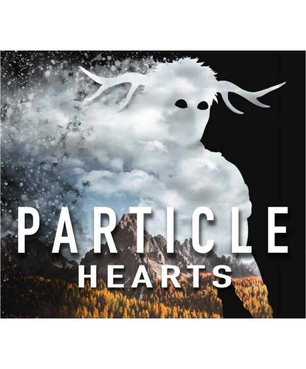 Particle Hearts Steam Key GLOBAL